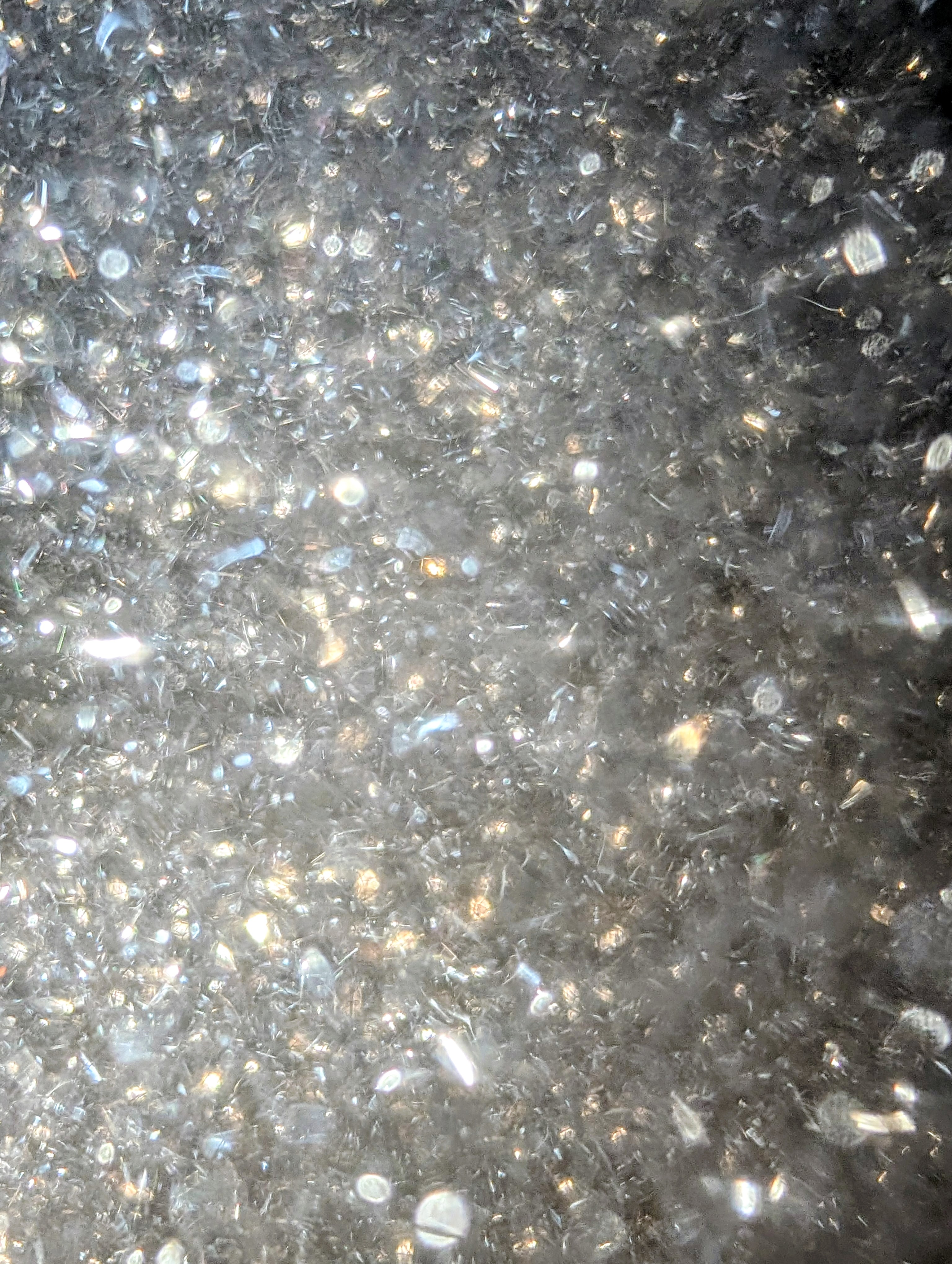 6th Alaska Sweepstakes Nome Finish Line