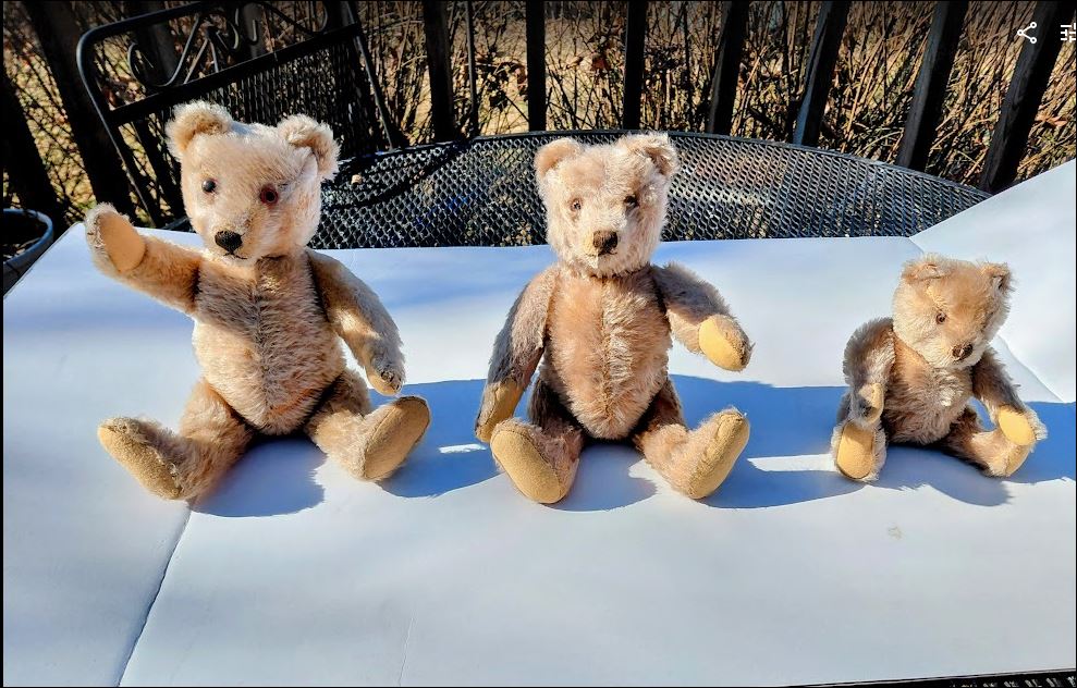 Vintage Steiff Teddy Bear Family.