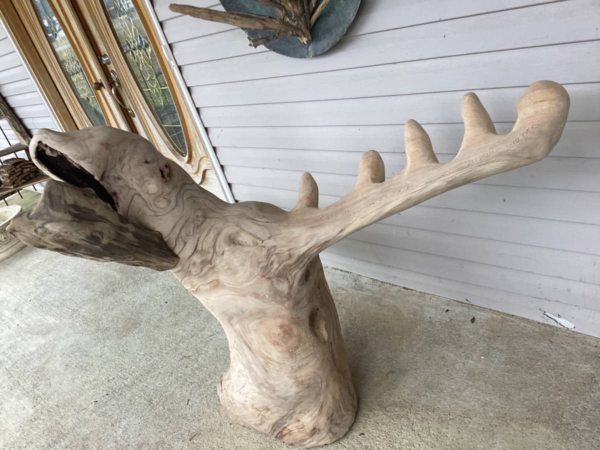 sycamore burl carved into moose head
