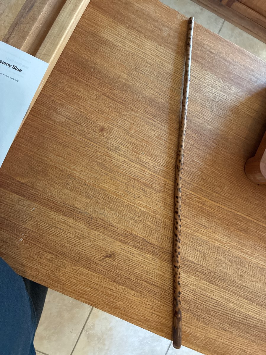 Antique Walking Stick