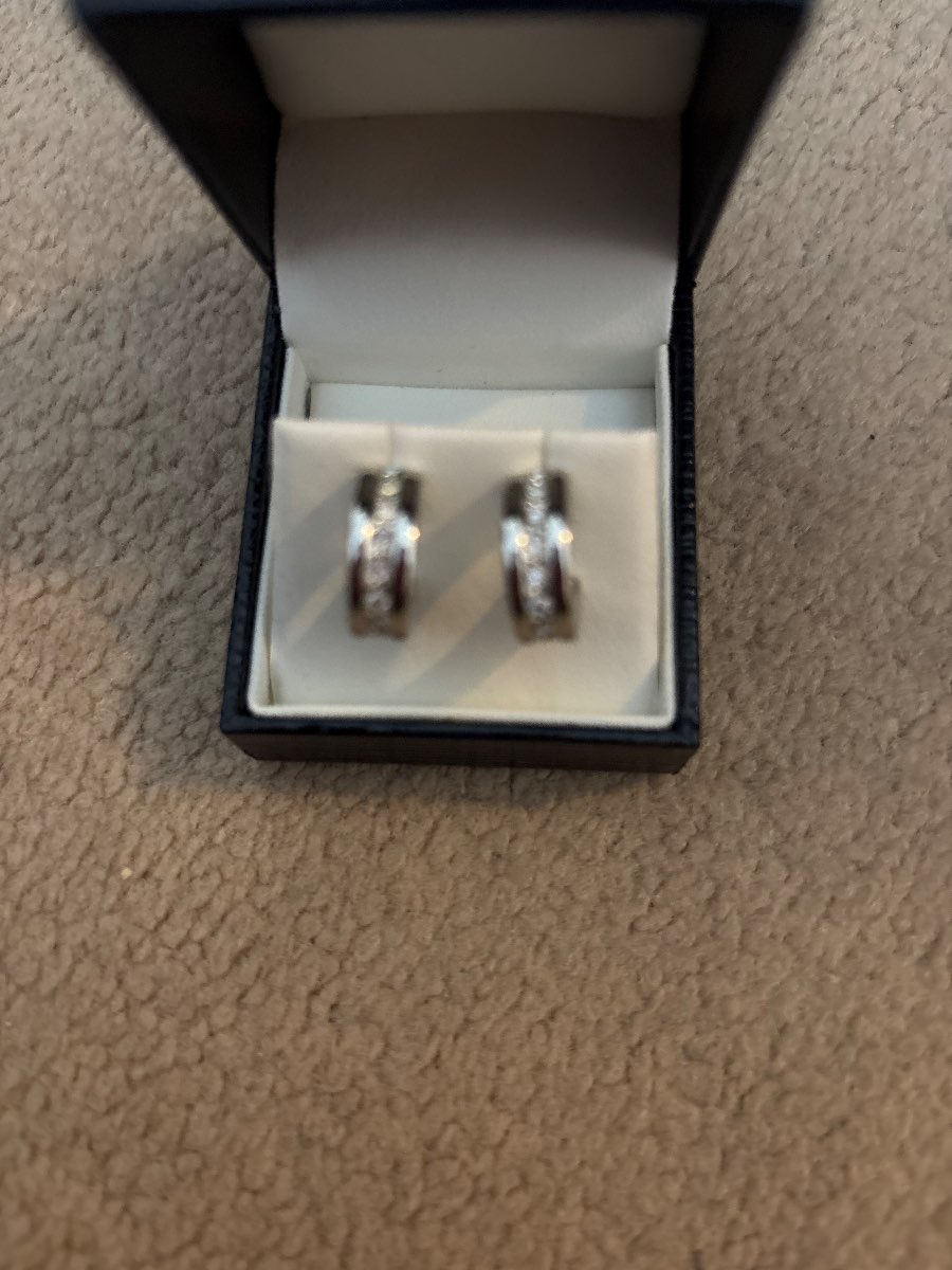 Diamond Hoop Earrings