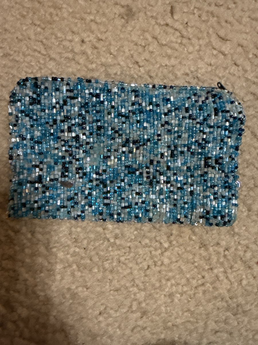 Beaded Clutch Purse