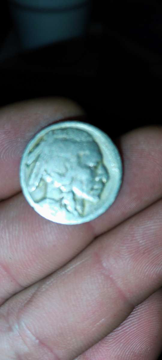 Buffalo Nickel