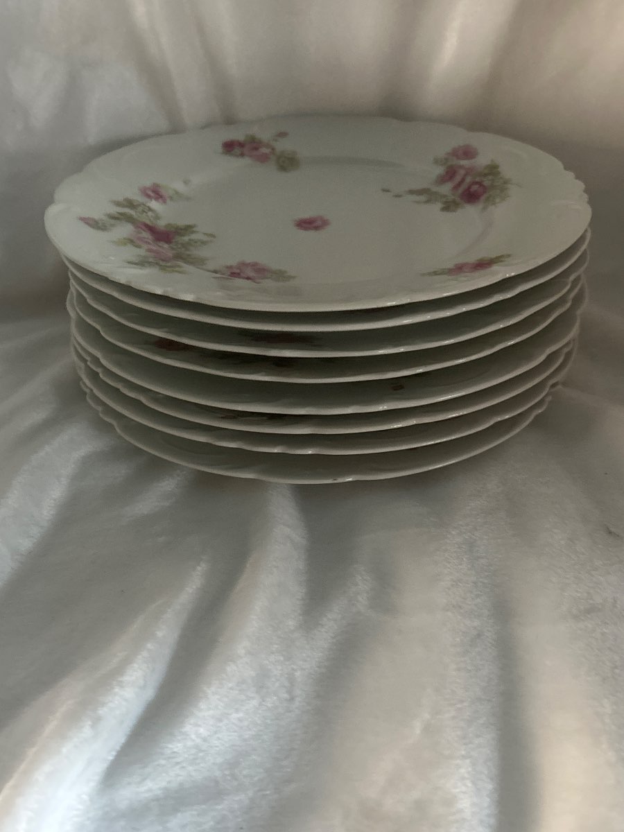 Limoges Porcelain Plates