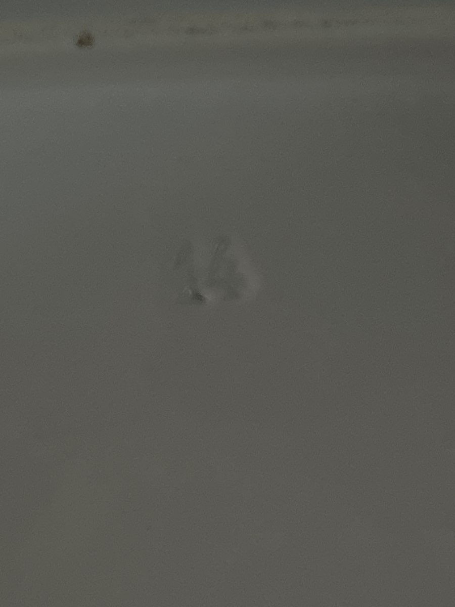 Antique Haviland Limoges Serving Platter