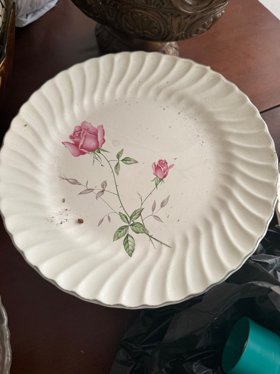 Antique Haviland Limoges Porcelain Plate — appraisal value $30 - $75