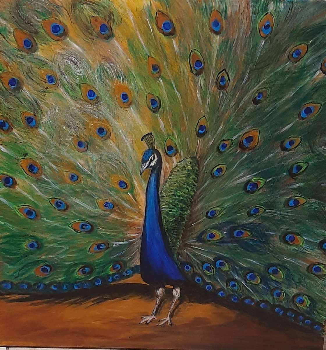 Original Acrylic Painting - Peacock — appraisal value $200 - $400