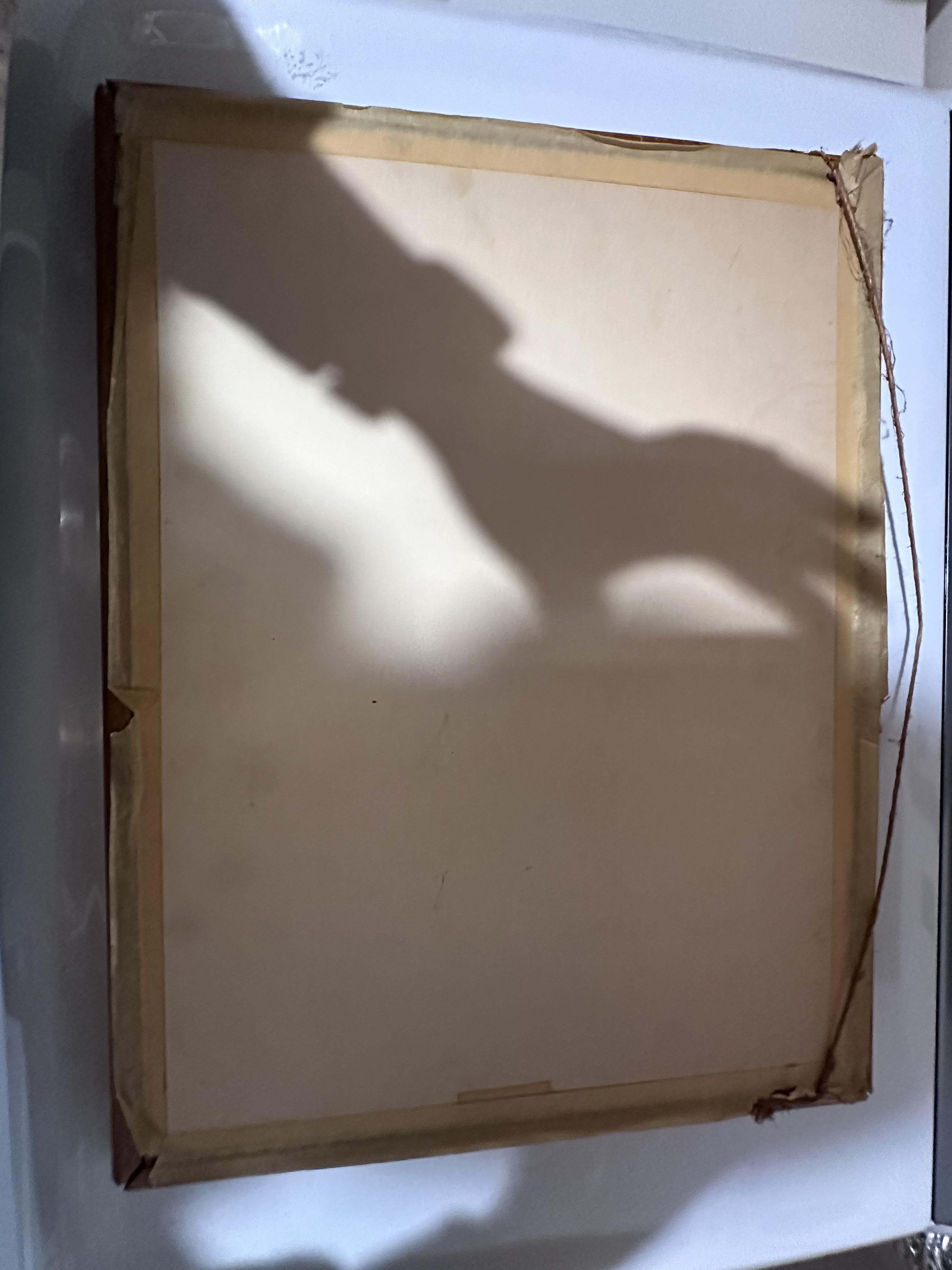 Watercolor Painting by D. McIntyre