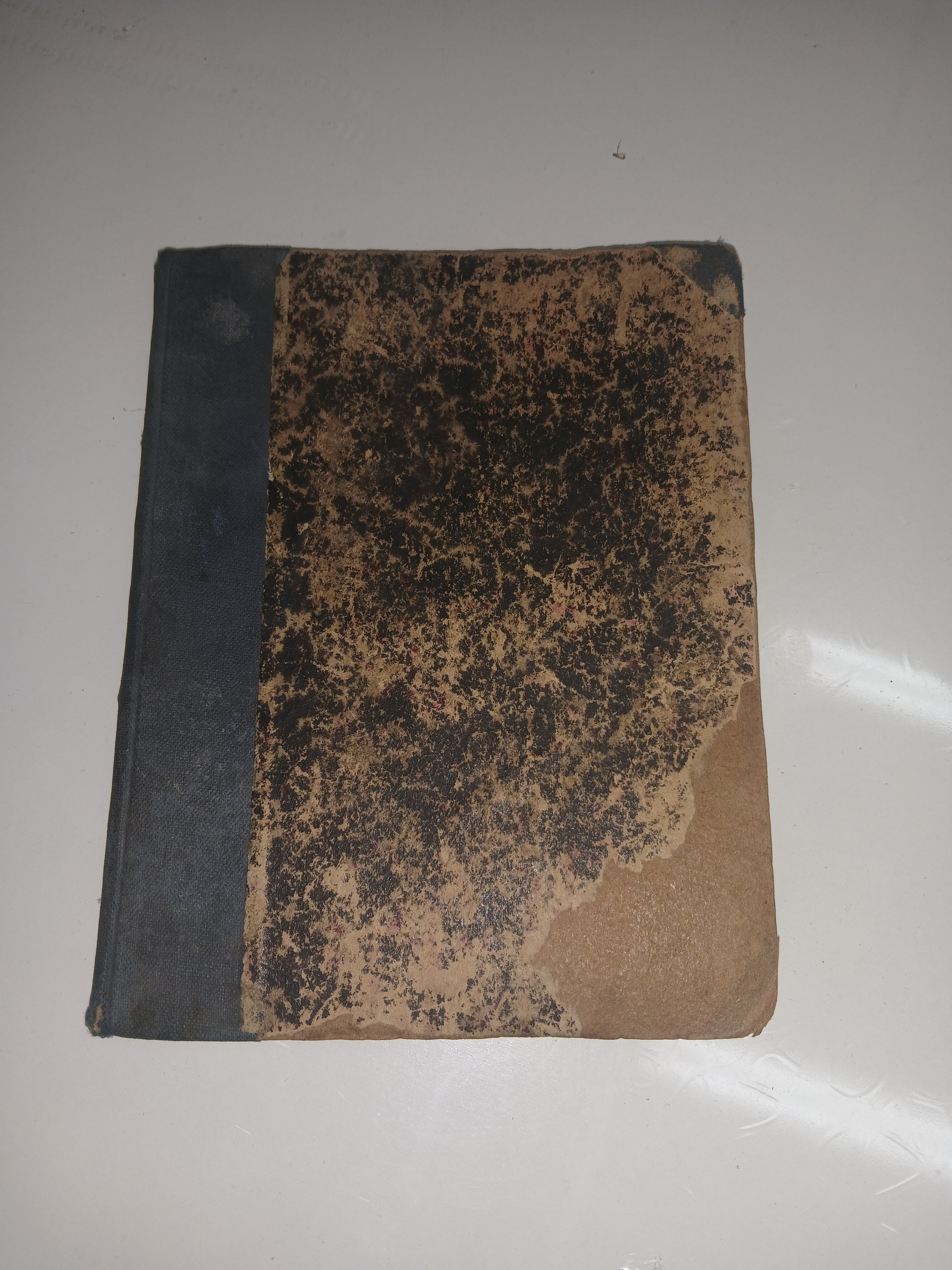 Ksiazka Grażyna wydanie Lwów 1925