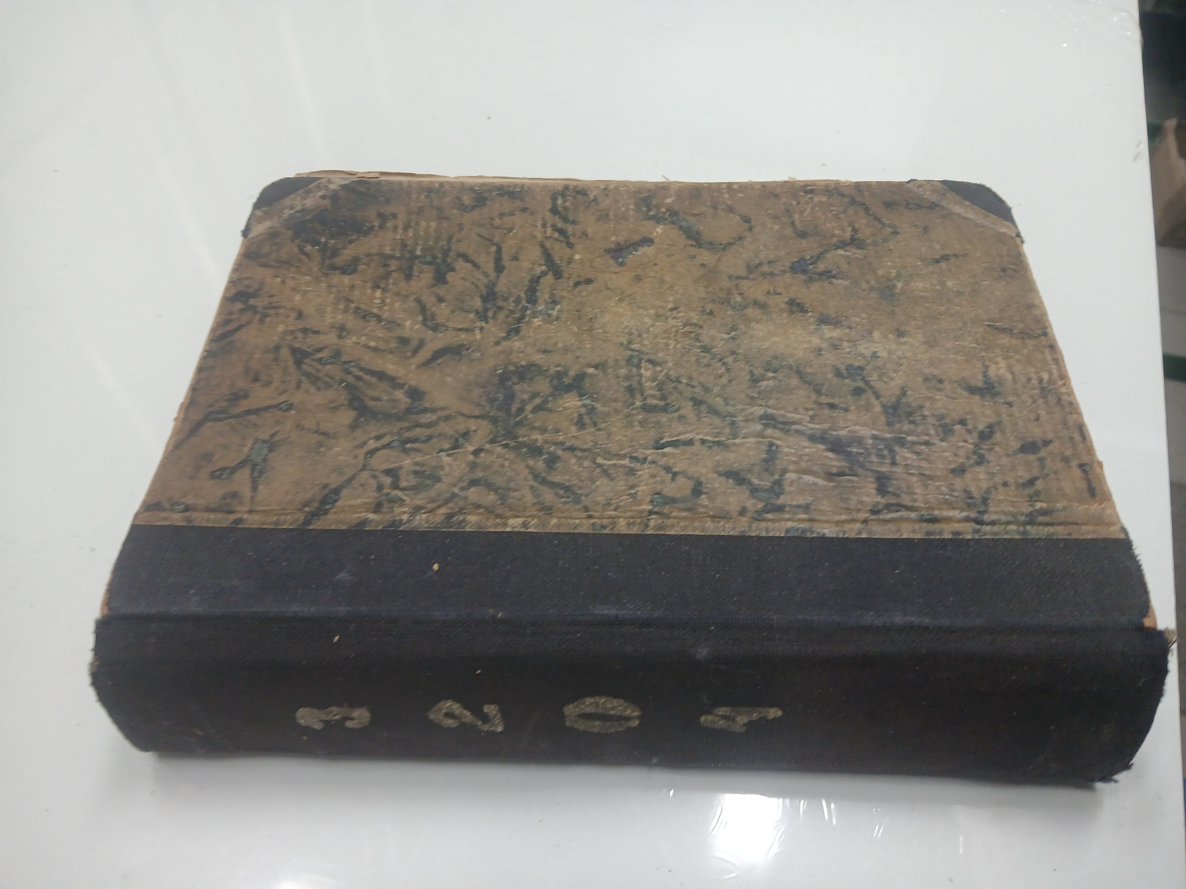 Książka KSIĘGA Z SAN MICHELE 1933R