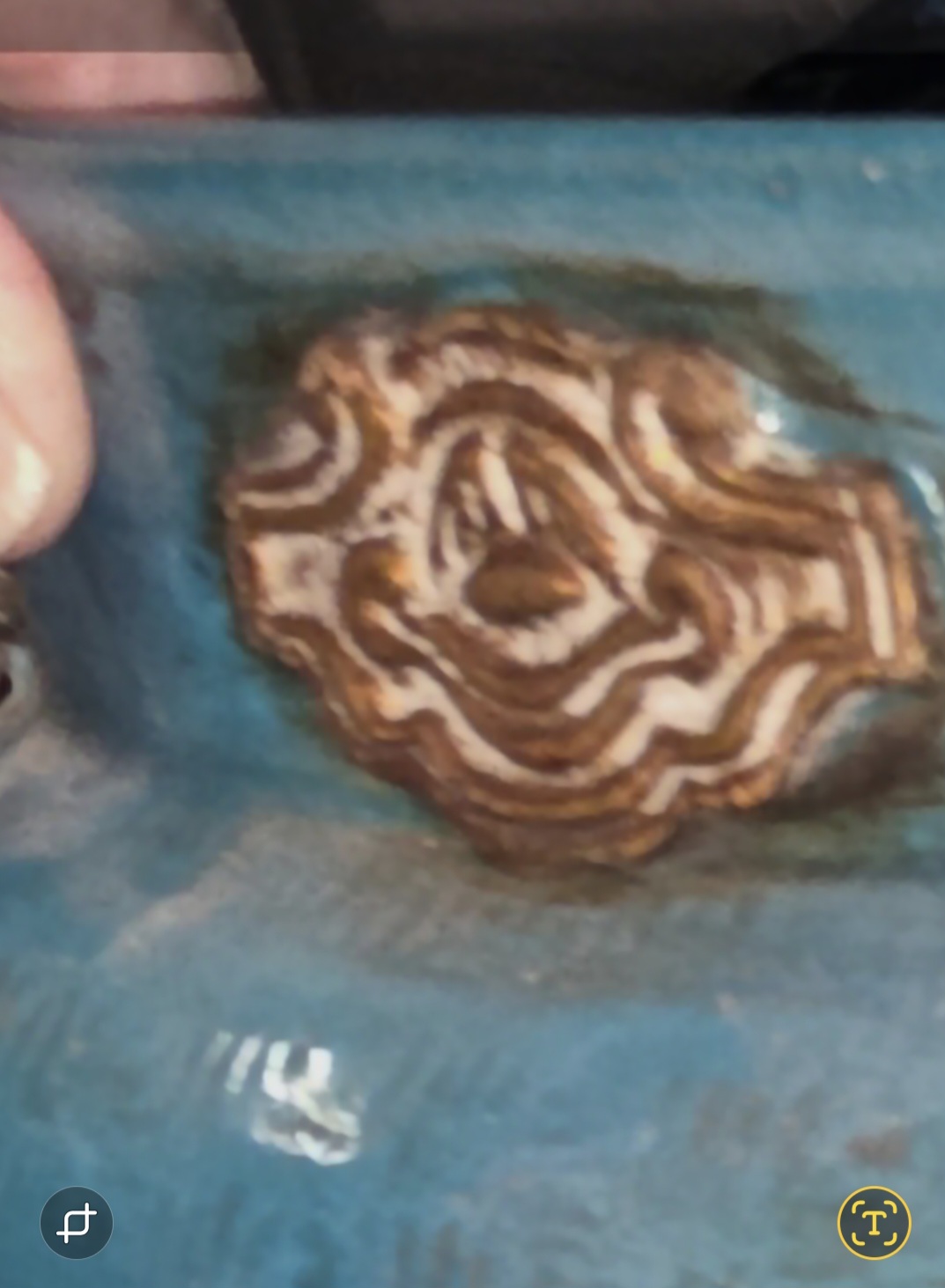 Italian bowl by Urbano Zaccagini 