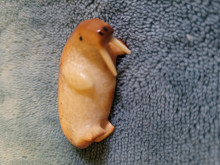 Alaska walrus tusk carvings