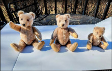 Vintage Steiff Teddy Bear Family.