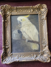 Cockatoo Painting with ornate frame