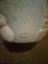 Two Polar bears hugging on the rocks 