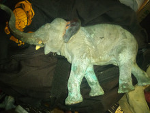 Genryusai Seiya Bronze Elephant