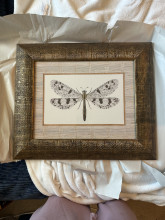 Delicate Dancer Framed Art by The Raschella Collection, Inc.