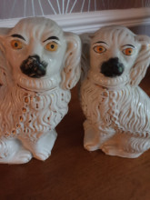 Staffordshire Comforter  dogs