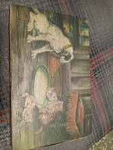 Dog watching kittens drink milk 