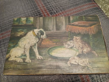 Dog watching kittens drink milk 