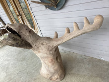 sycamore burl carved into moose head