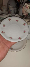 Mitterteich Bavaria Porcelain Plate