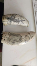 Engraved Whale Tooth