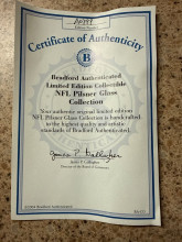 NFL Pilsner Glass Collection