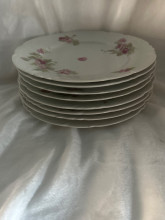 Limoges Porcelain Plates
