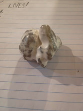 Some type of rock