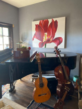 Well maintained and tuned , aesthetically in beautiful condition