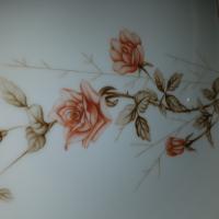 Rusty long stem roses