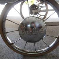 pedigree pram models