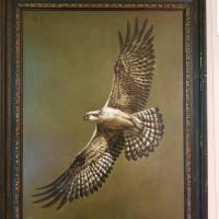 Florida, nature, wildlife, master, quality