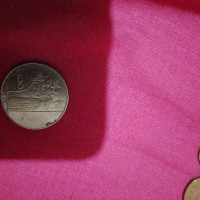 Analyzing Your Item...