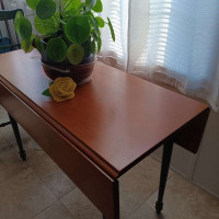 Analyzing Your Item...