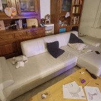 Analyzing Your Item...