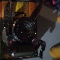 Analyzing Your Item...