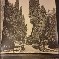 Analyzing Your Item...