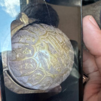 Analyzing Your Item...