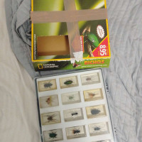 Analyzing Your Item...