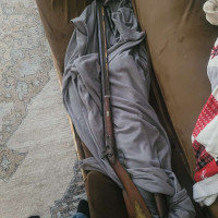 Analyzing Your Item...