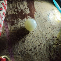 Analyzing Your Item...