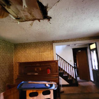 Analyzing Your Item...