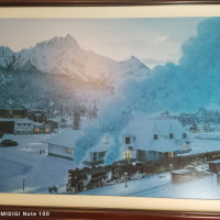 Analyzing Your Item...