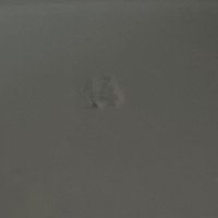 Analyzing Your Item...