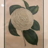 Analyzing Your Item...