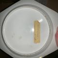 Rose Medallion Asian Plate
