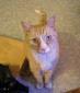 Profile picture for user Dawna R.